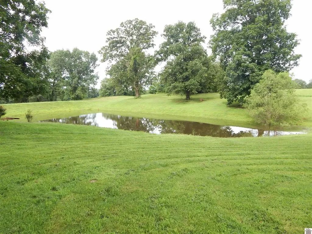 2510 Olive Hamlett Road Benton KY 42025
