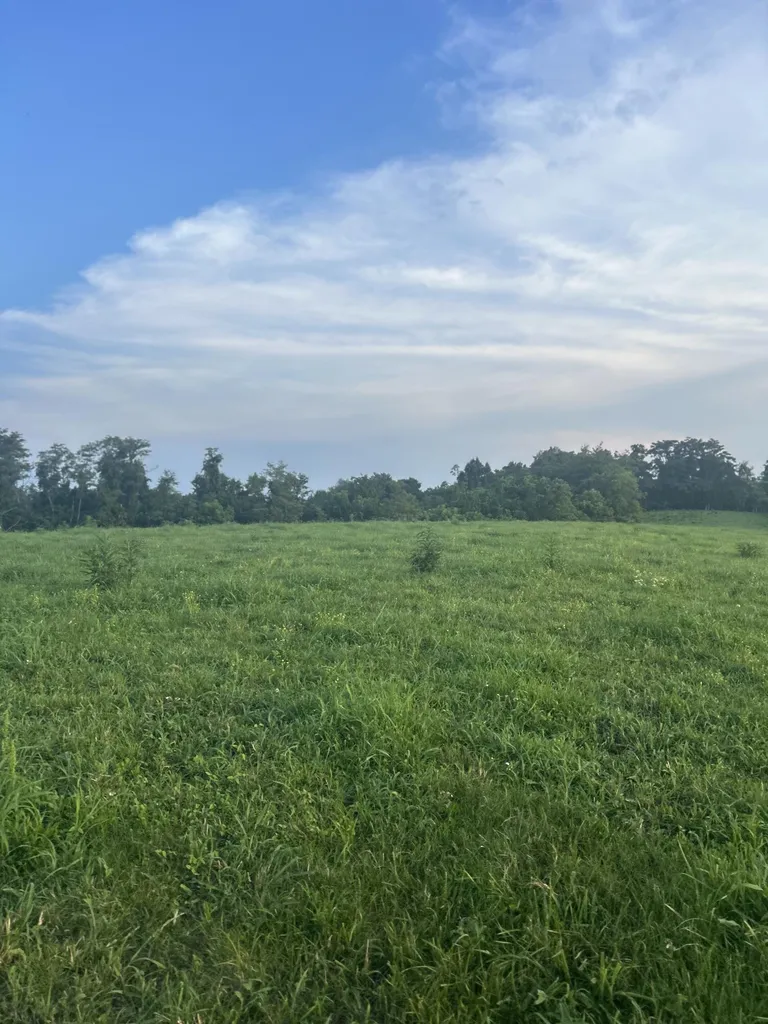 485 Turner Rdg Road Richmond KY 40475