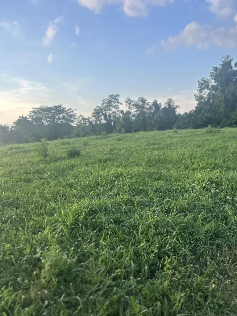 485 Turner Rdg Road Richmond KY 40475