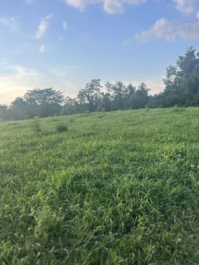 485 Turner Rdg Road Richmond KY 40475