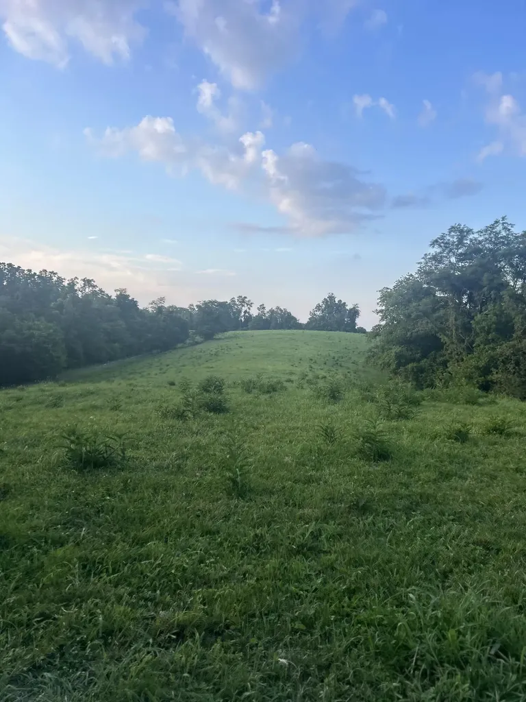 485 Turner Rdg Road Richmond KY 40475