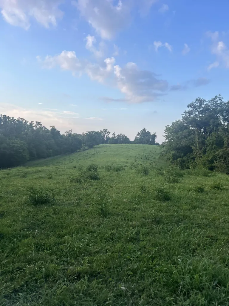 485 Turner Rdg Road Richmond KY 40475
