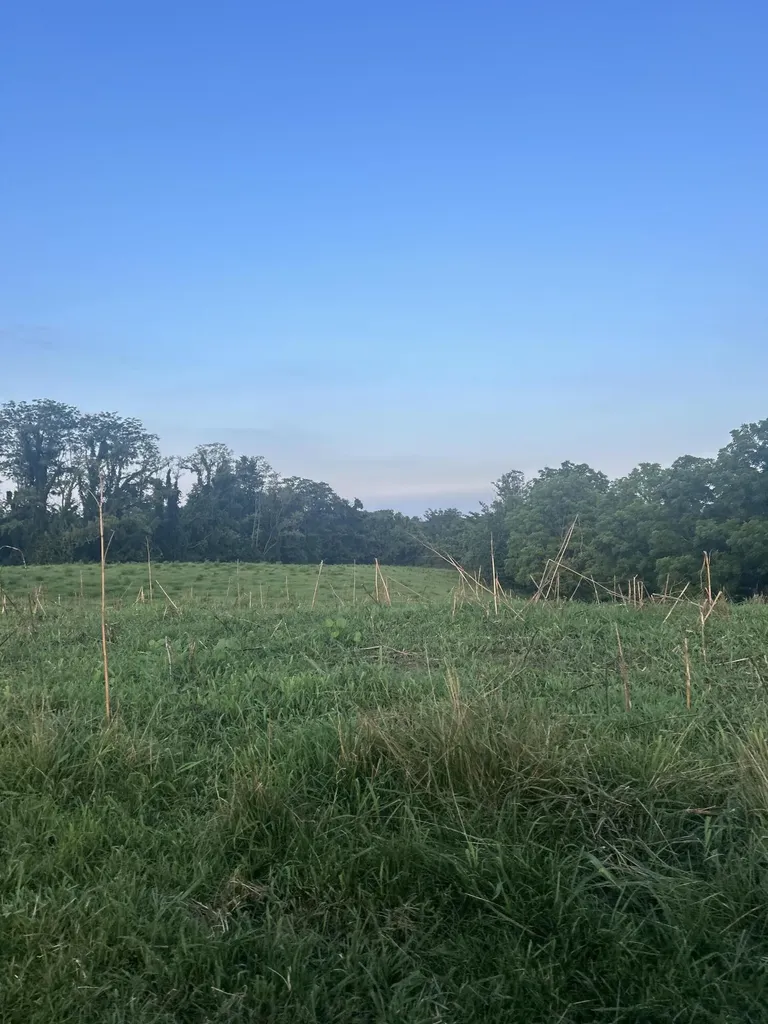 485 Turner Rdg Road Richmond KY 40475