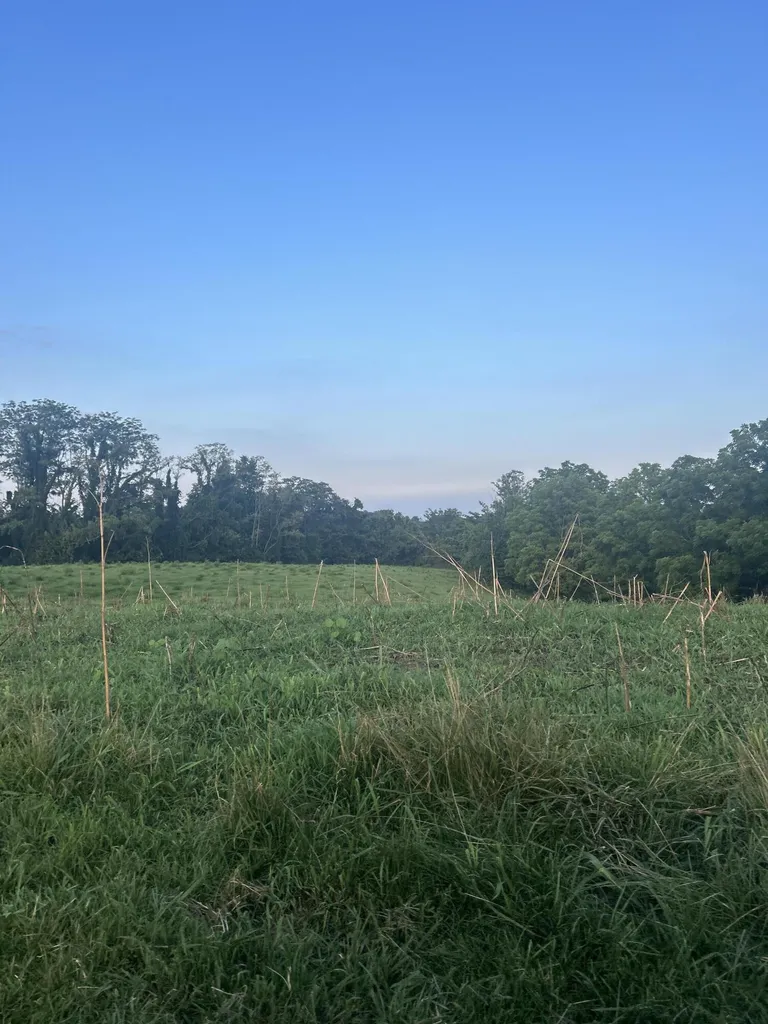 485 Turner Rdg Road Richmond KY 40475
