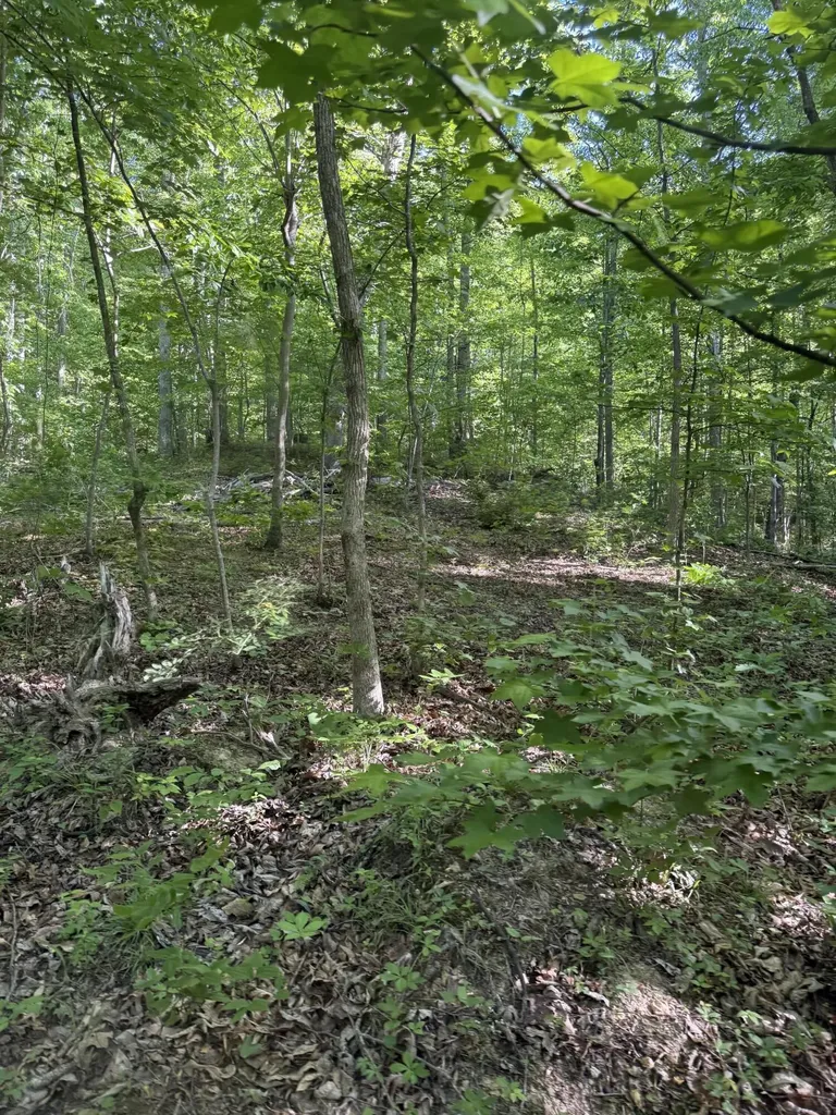 345 Sam Baughman Road Stanford KY 40484