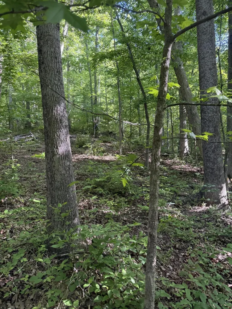 345 Sam Baughman Road Stanford KY 40484