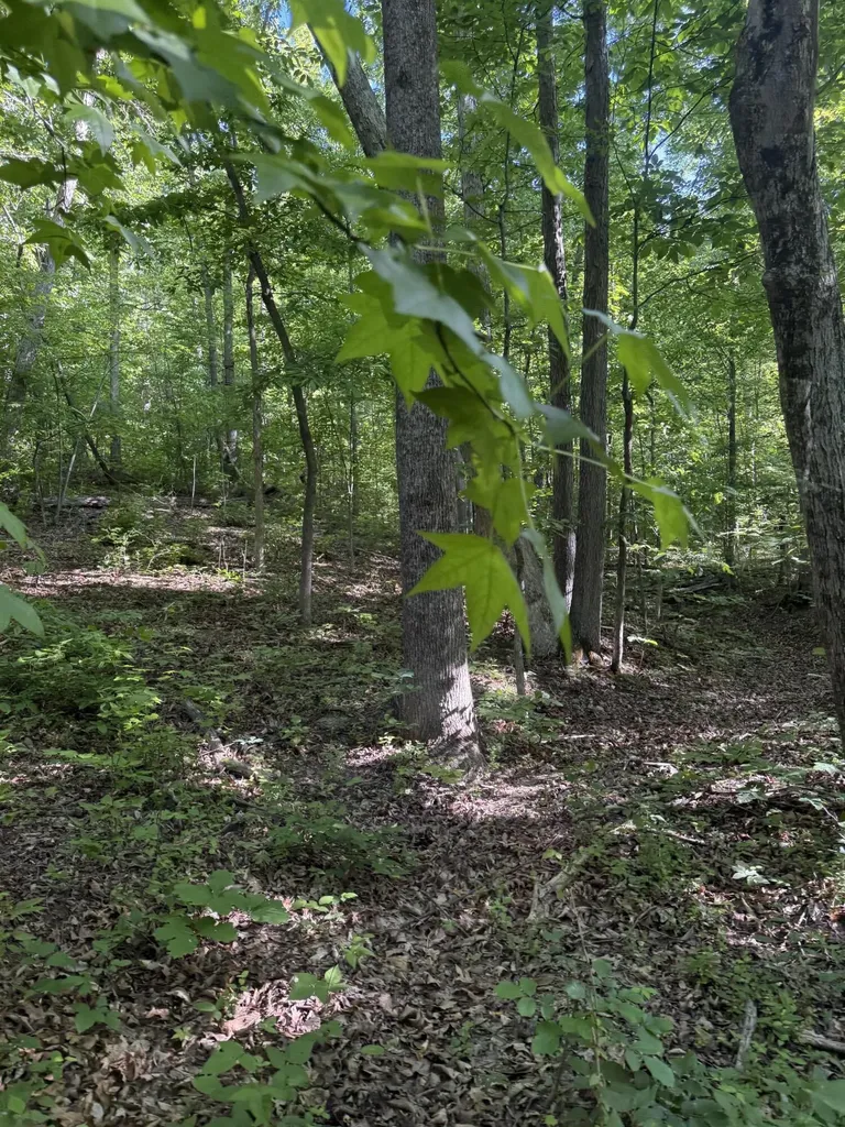 345 Sam Baughman Road Stanford KY 40484