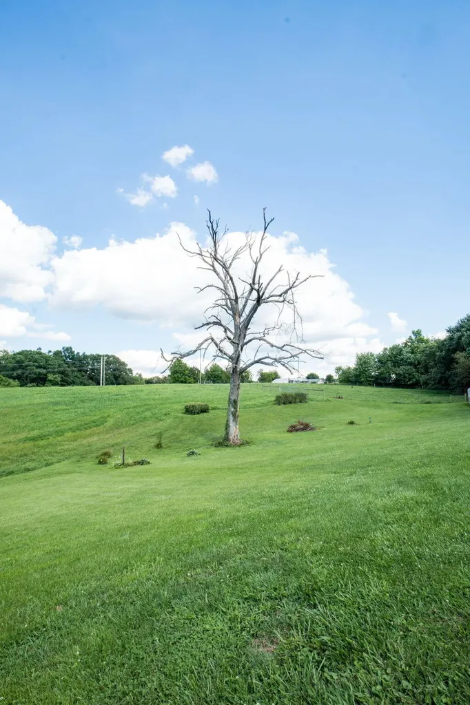 320 Alice Roy Road Windsor KY 42565