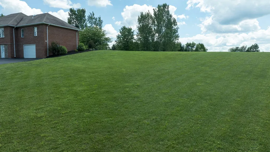 320 Alice Roy Road Windsor KY 42565