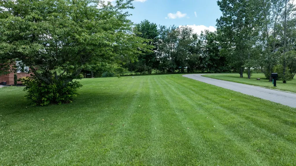 320 Alice Roy Road Windsor KY 42565
