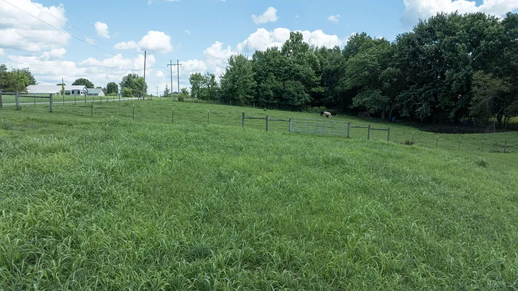 320 Alice Roy Road Windsor KY 42565