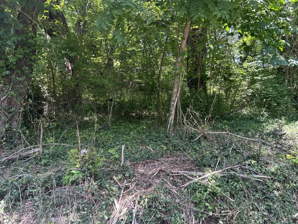 00 E Lewis Street Corbin KY 40701