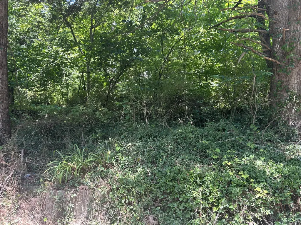 00 E Lewis Street Corbin KY 40701