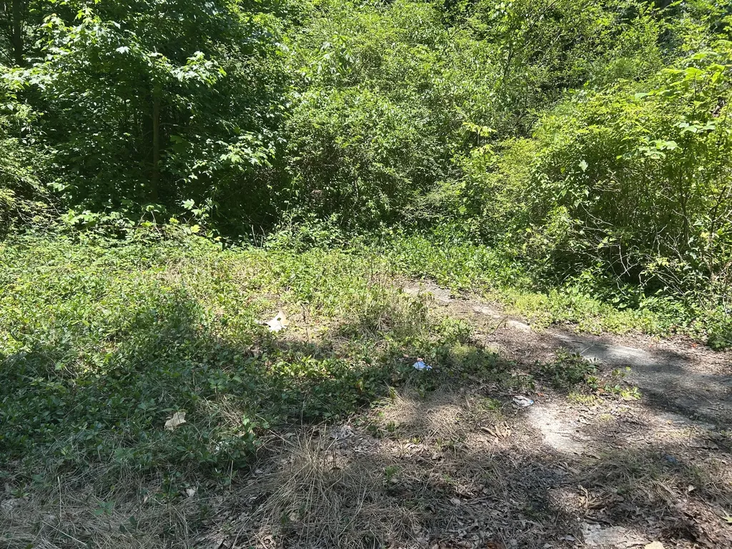 00 E Lewis Street Corbin KY 40701