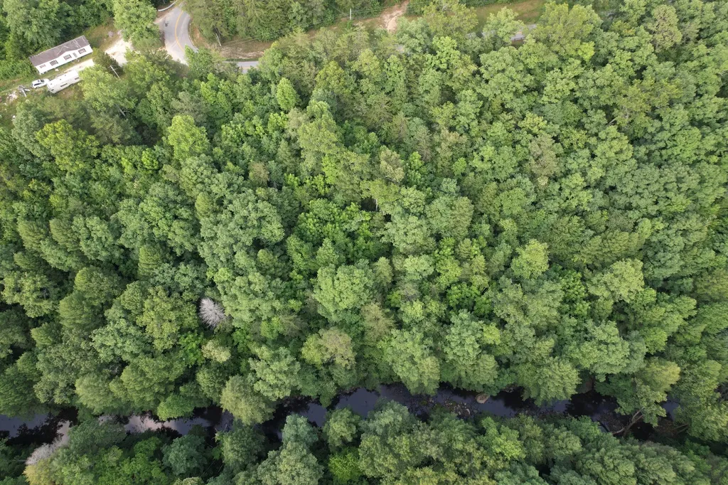 8119 Sandhill Road Whitley City KY 42653