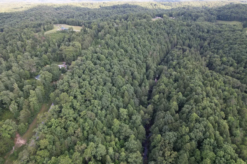 8119 Sandhill Road Whitley City KY 42653