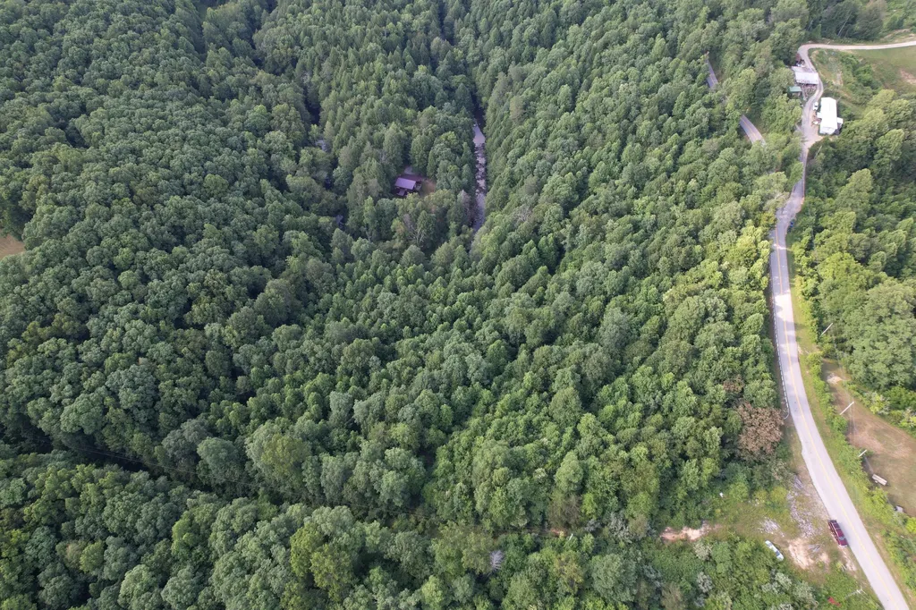8119 Sandhill Road Whitley City KY 42653