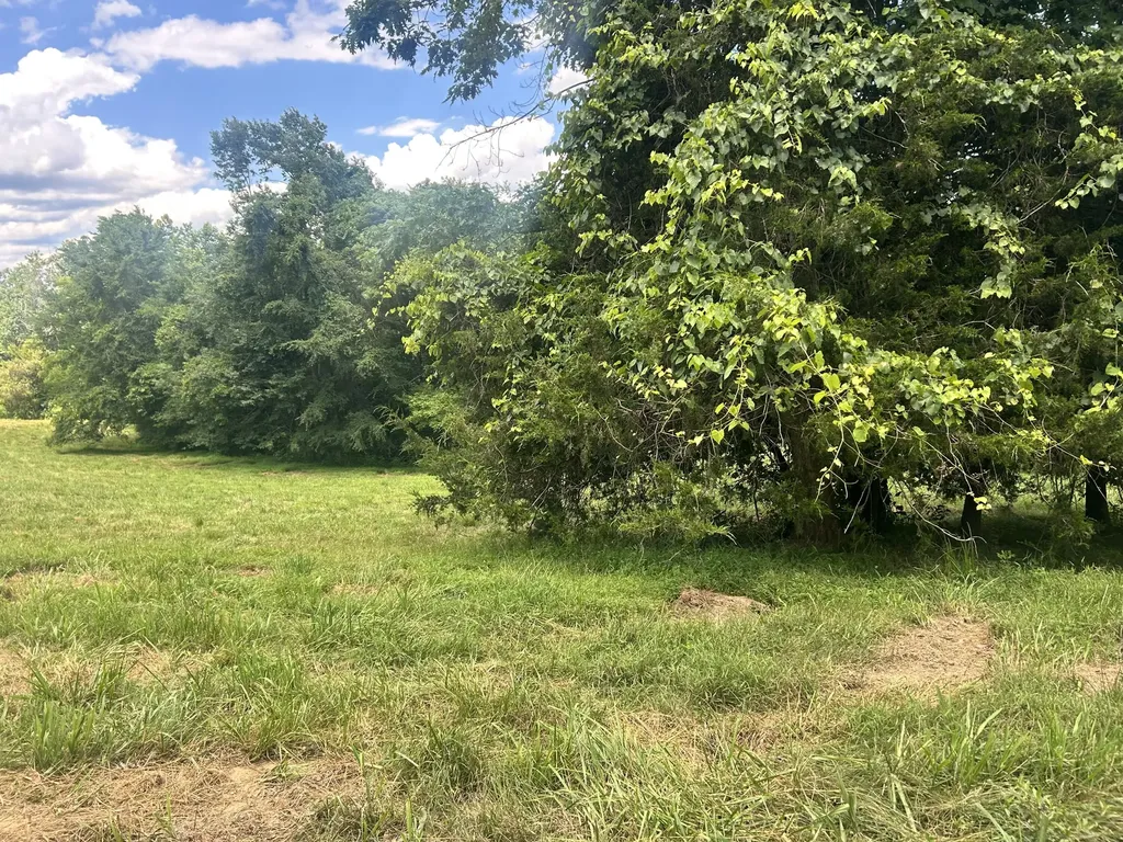 7 Ruel Glidewell Road Columbia KY 42728