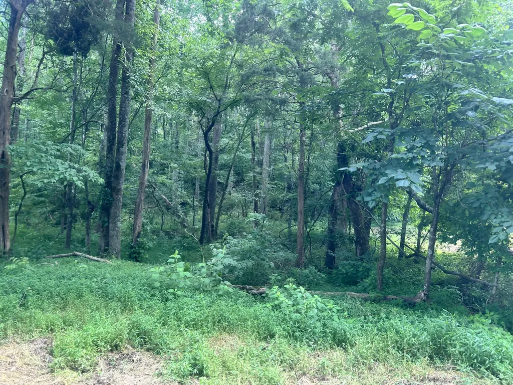 7 Ruel Glidewell Road Columbia KY 42728