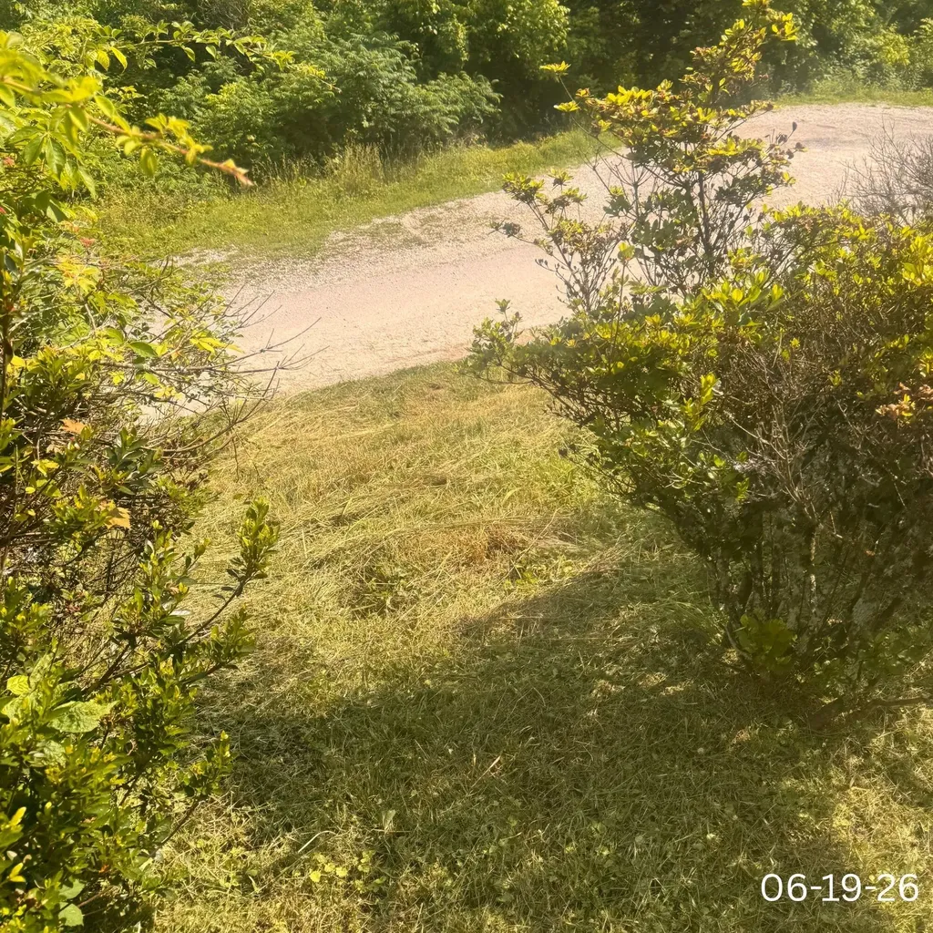 450 Bowen Lane Inez KY 41224