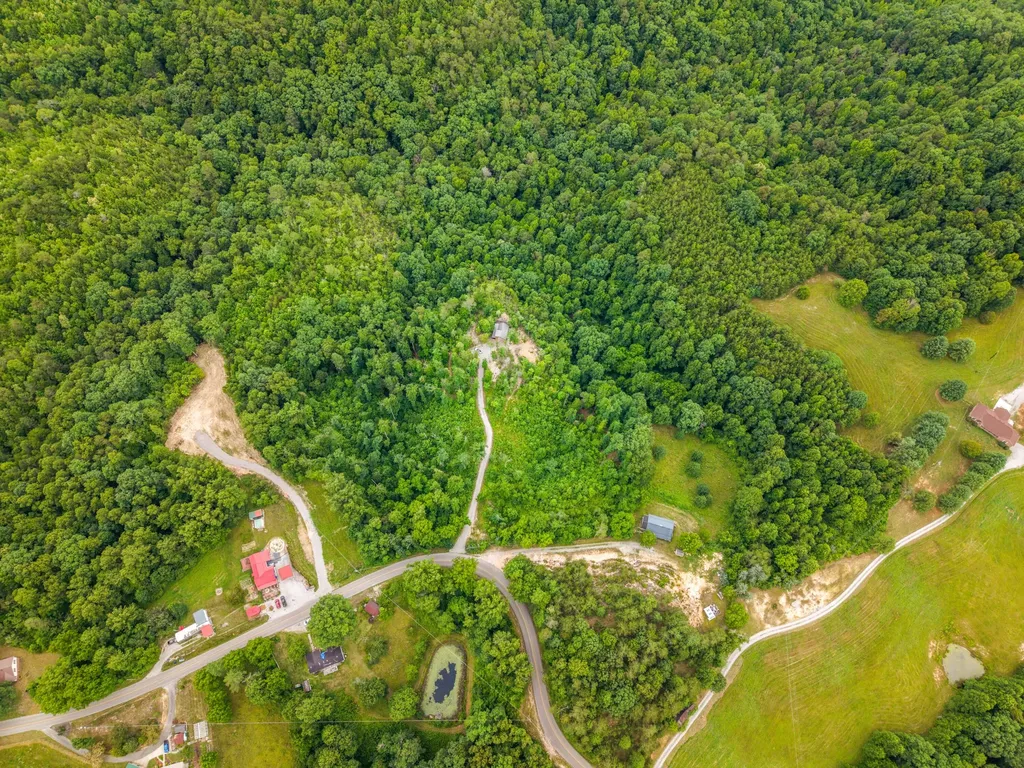 711 Worley Hill Top Road Stearns KY 42647