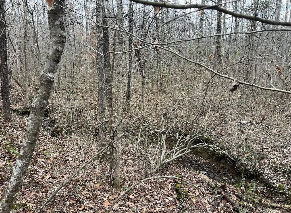 999 Barefoot Bottoms Road Corbin KY 40701