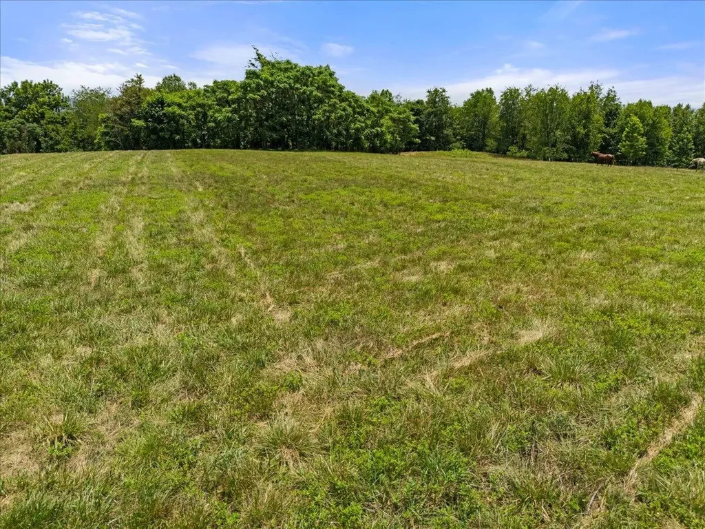 999 Barefoot Bottoms Road Corbin KY 40701