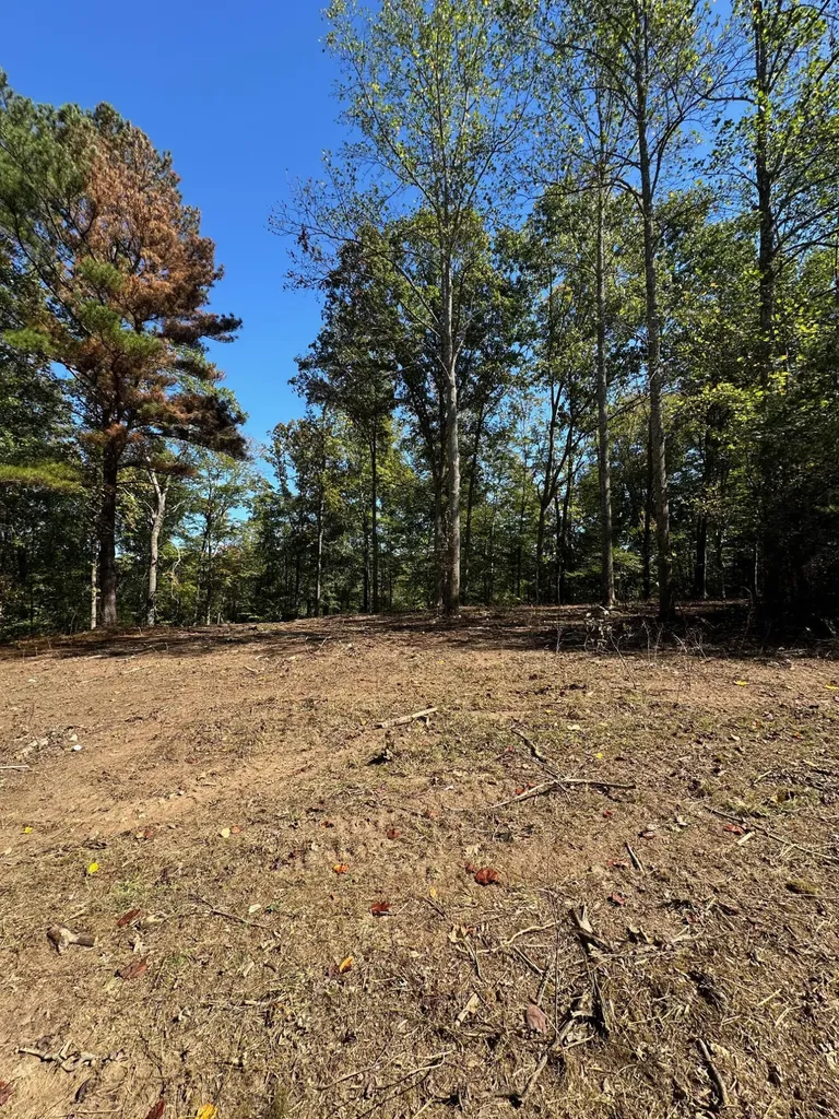 185 - 282 Sugar 2 Road Nancy KY 42544
