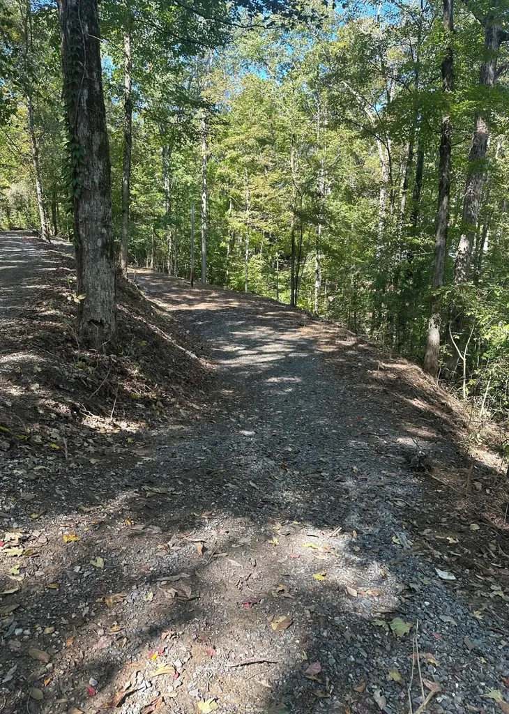185 - 282 Sugar 2 Road Nancy KY 42544