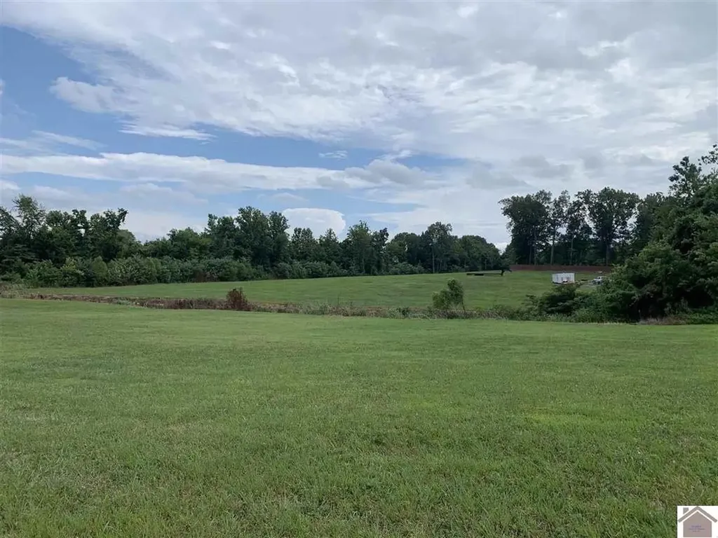 346 Old Symsonia Road Benton KY 42025