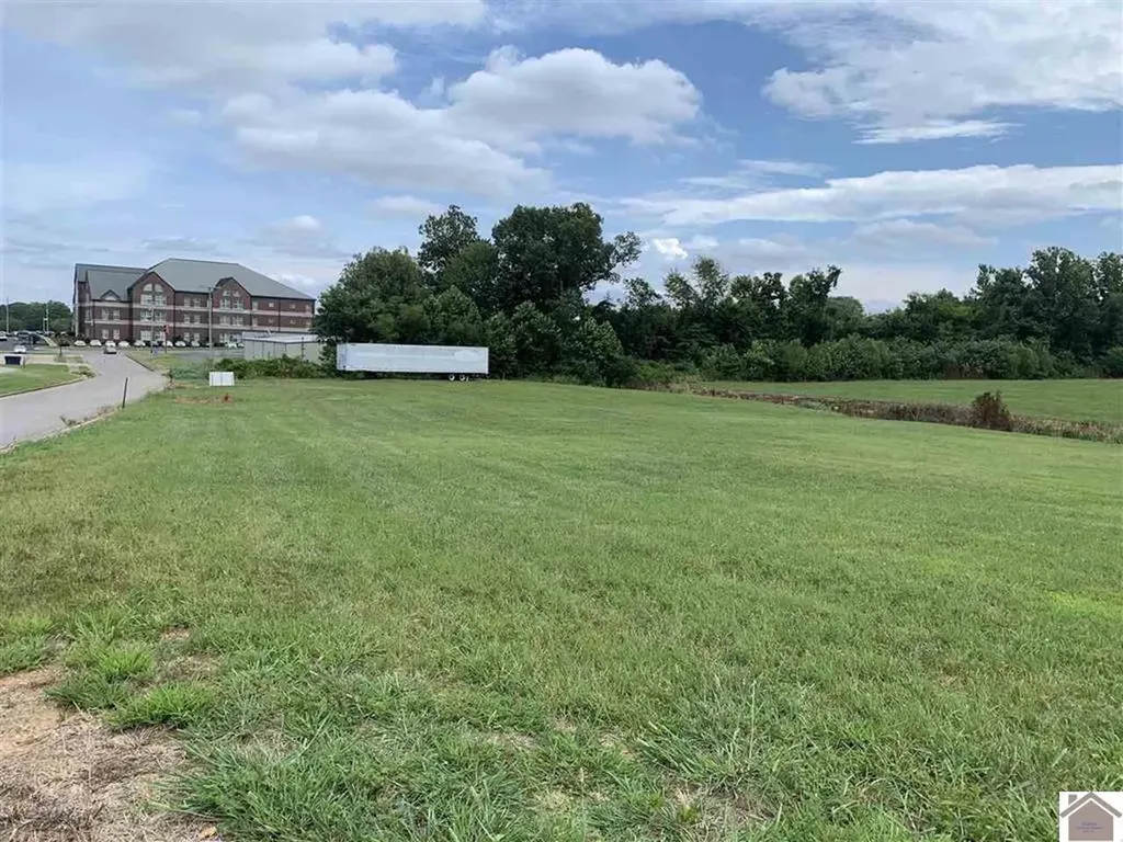 346 Old Symsonia Road Benton KY 42025