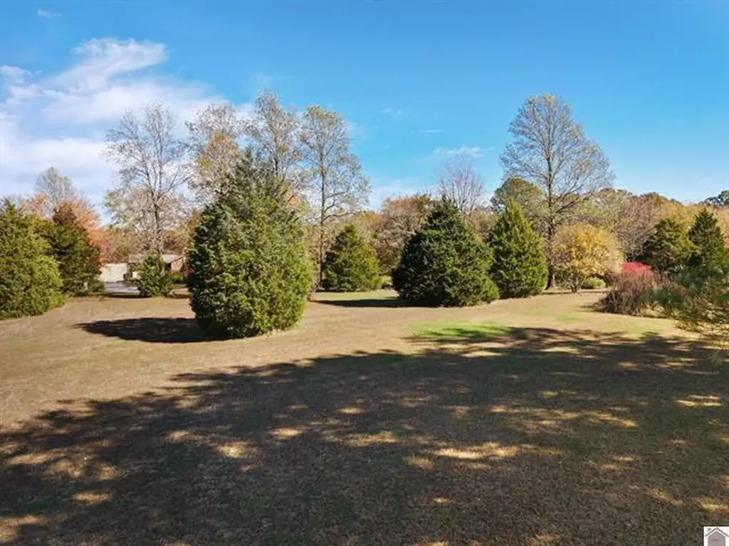 92 Timmons Lane Gilbertsville KY 42044