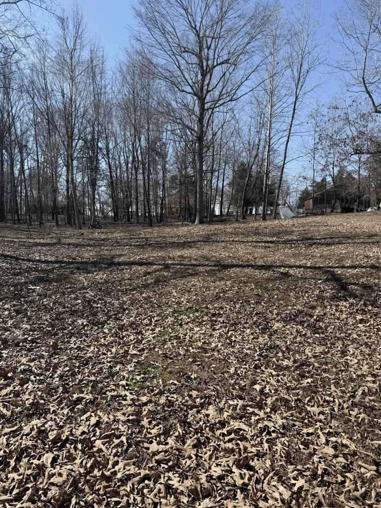 343 Wesley Lane Cadiz KY 42211