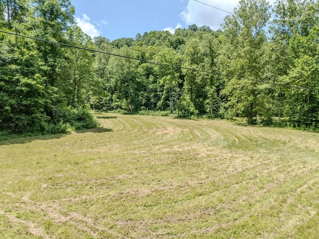 1175 Old House Creek Road Morehead KY 40351