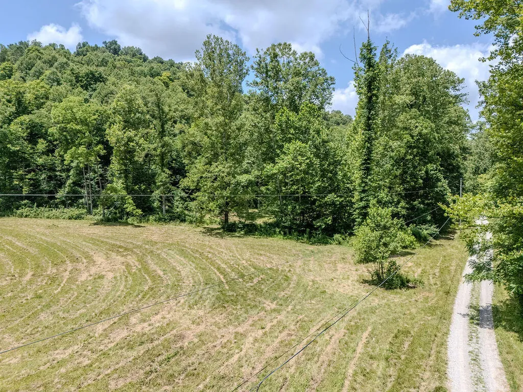 1175 Old House Creek Road Morehead KY 40351