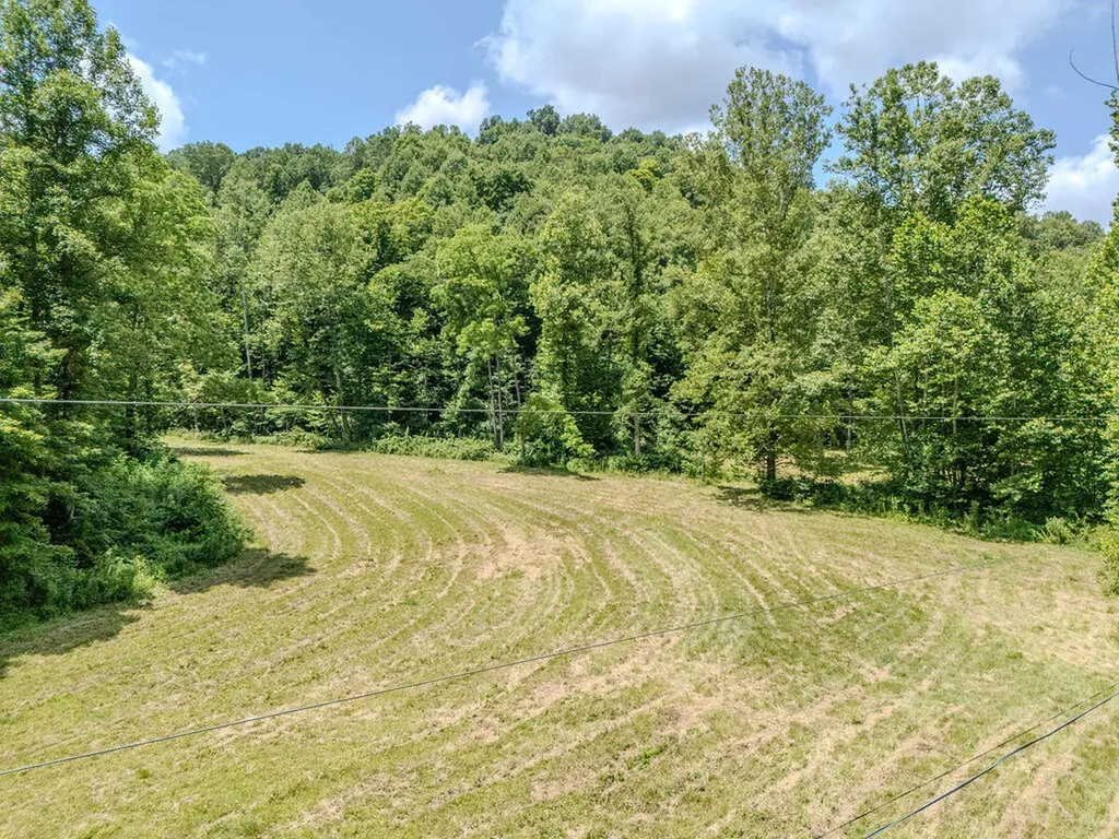 1175 Old House Creek Road Morehead KY 40351