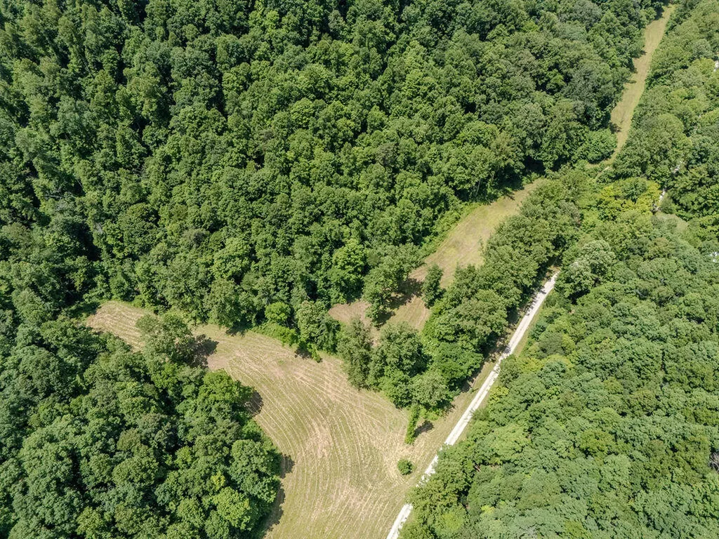 1175 Old House Creek Road Morehead KY 40351