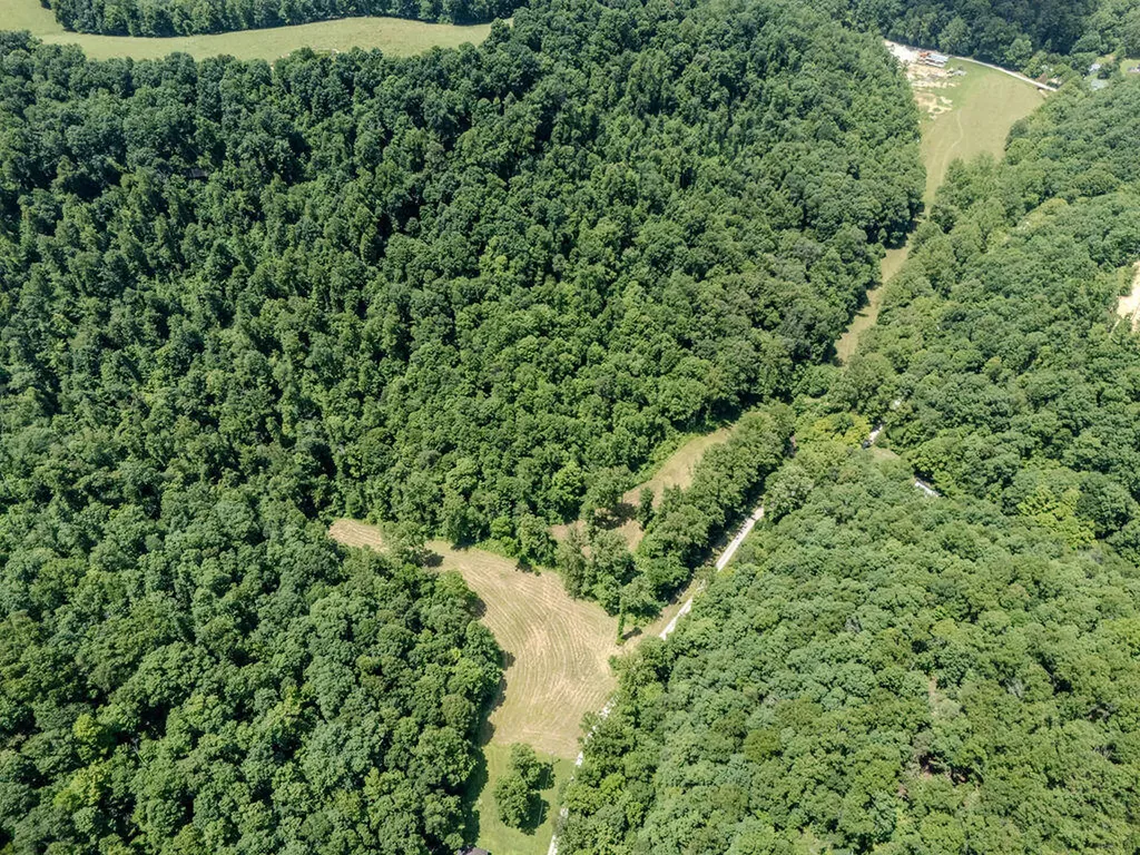 1175 Old House Creek Road Morehead KY 40351