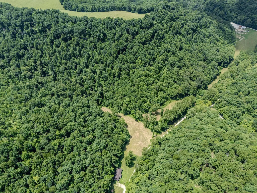 1175 Old House Creek Road Morehead KY 40351