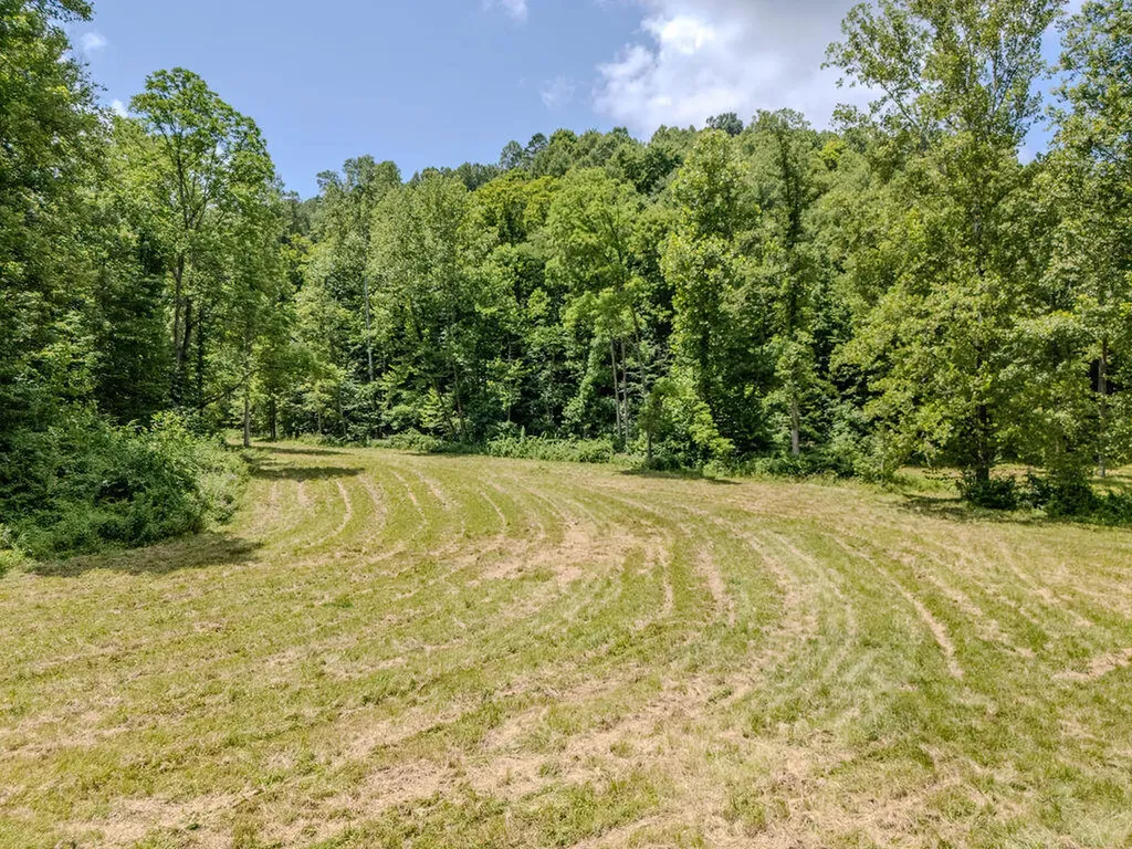 1175 Old House Creek Road Morehead KY 40351