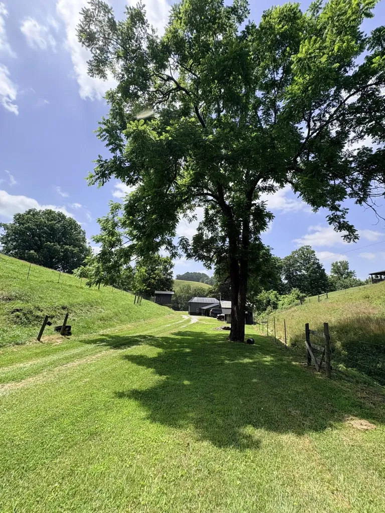 434 Ky-1024 Olive Hill KY 41164