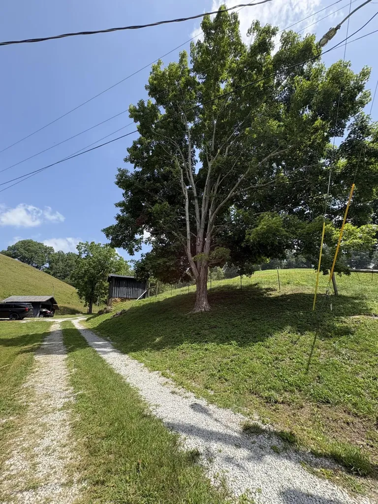 434 Ky-1024 Olive Hill KY 41164