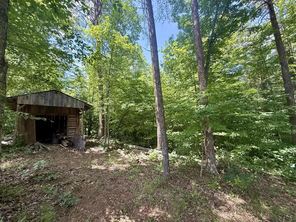1036 Jesse Sears Road Somerset KY 42501