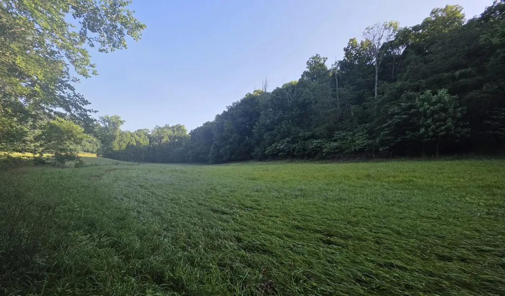 17141 Highway 200 Monticello KY 42633