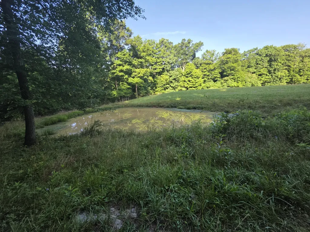 17141 Highway 200 Monticello KY 42633