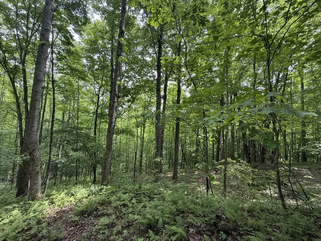 Lot 163 Ashland Camp Loop Beattyville KY 41311