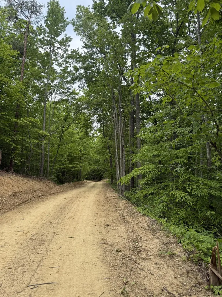 Lot 165 Ashland Camp Loop Beattyville KY 41311