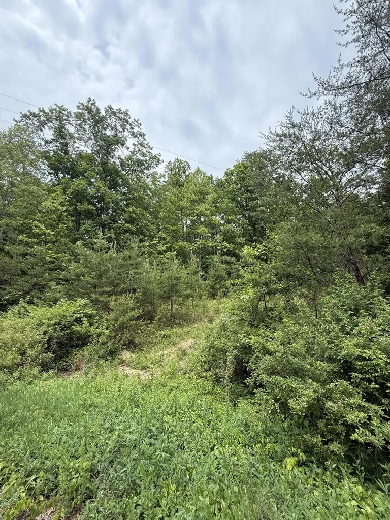 Lot 165 Ashland Camp Loop Beattyville KY 41311