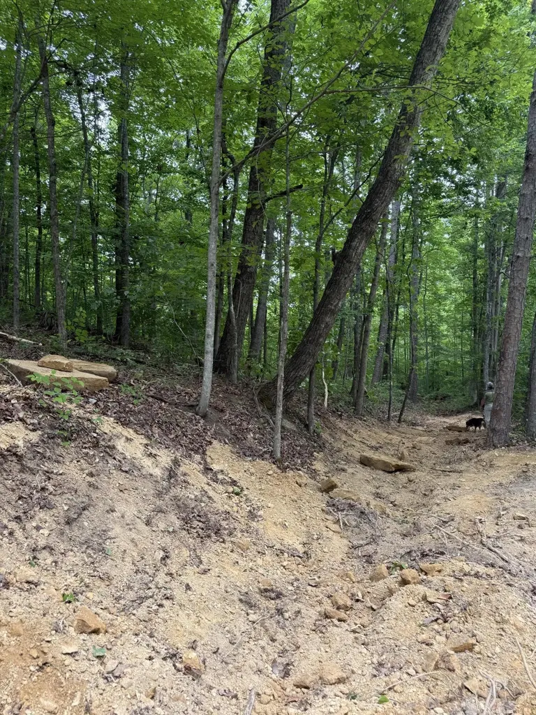 Lot 167 Ashland Camp Loop Beattyville KY 41311