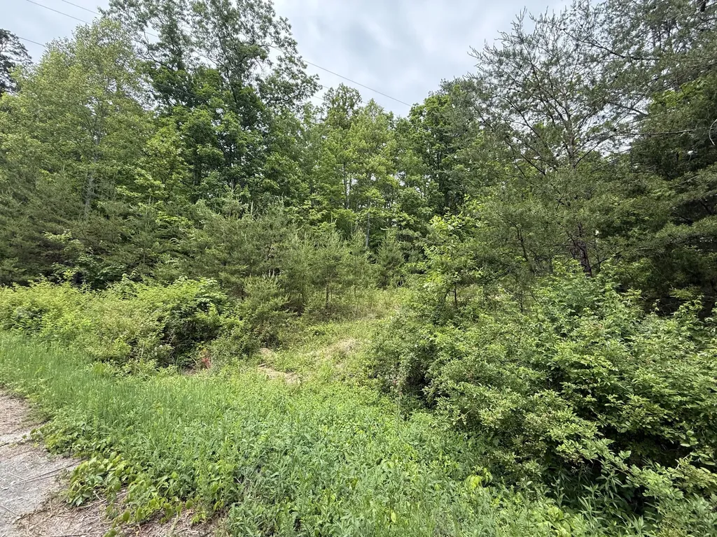 Lot 164 Ashland Camp Loop Beattyville KY 41311